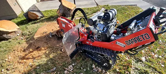 This thing makes short work of any stump. Give us a call to get rid of that unsightly stump. 
(775) 299-9871